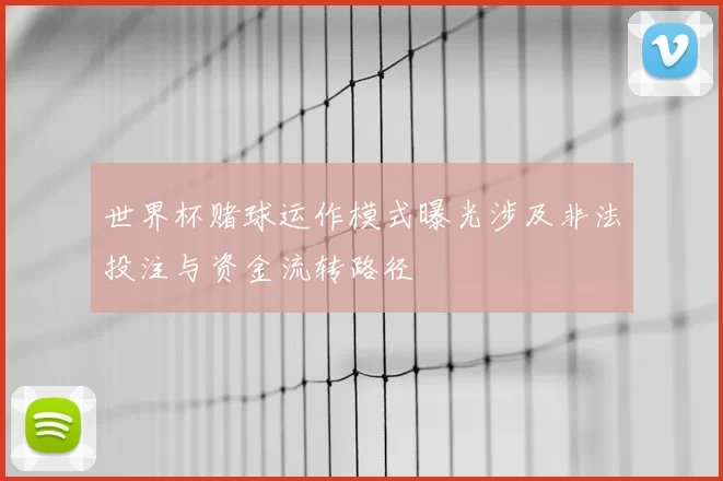世界杯赌球运作模式曝光涉及非法投注与资金流转路径