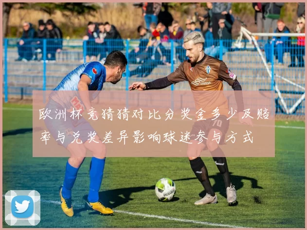 欧洲杯竞猜猜对比分奖金多少及赔率与兑奖差异影响球迷参与方式