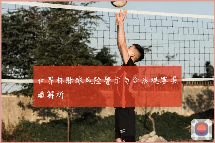 世界杯赌球风险警示与合法观赛渠道解析