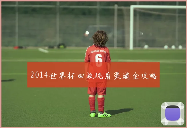 2014世界杯回放观看渠道全攻略
