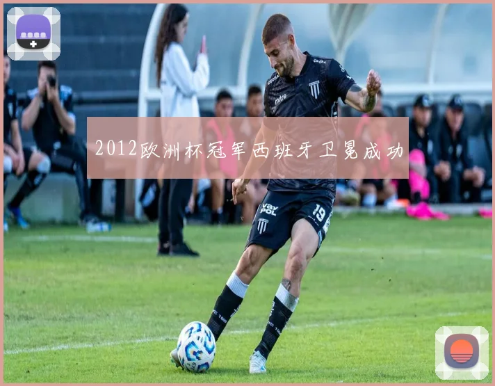 2012欧洲杯冠军西班牙卫冕成功