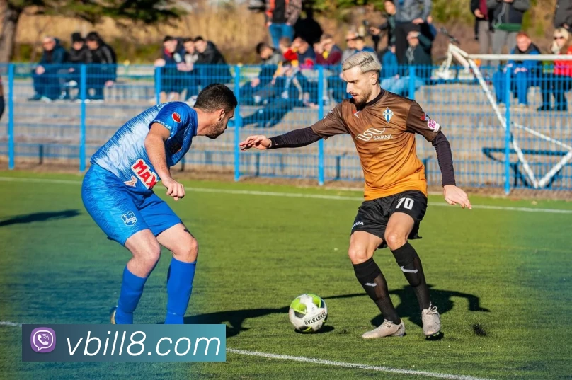 mksports足球赛程平台生态图